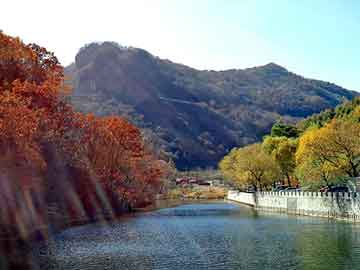 新澳天天免费资料大全，佛山至山东物流